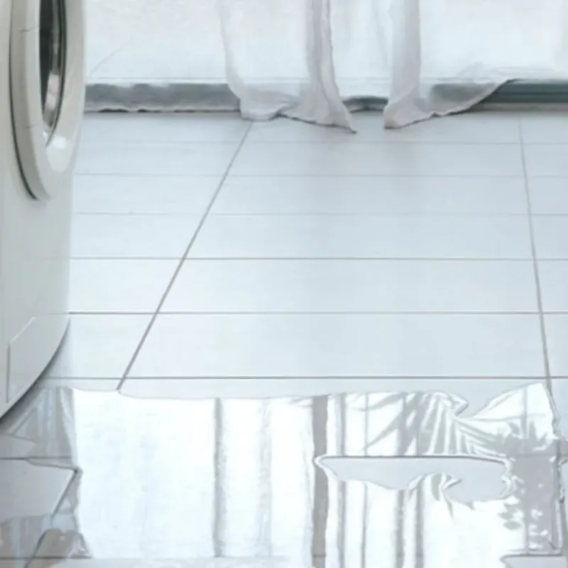 Appliance Leak Cleanup in Pittsville, MD