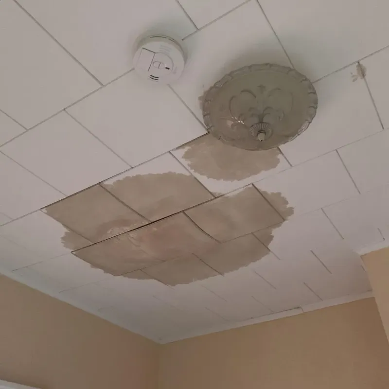 Ceiling Water Damage Repair in Pittsville, MD