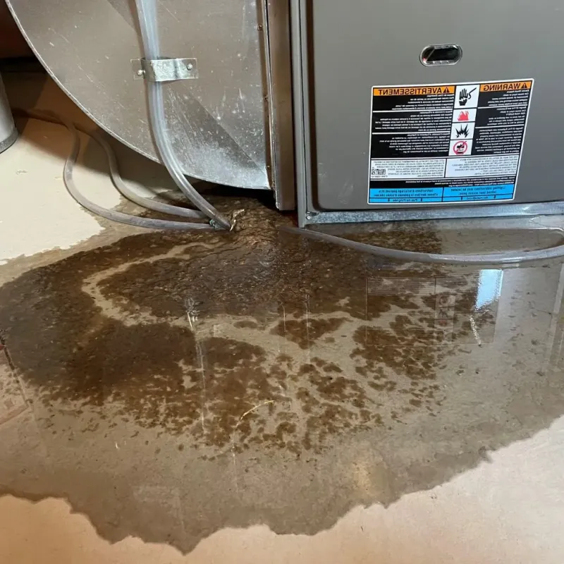 Pipe Burst and Leak Restoration in Pittsville, MD