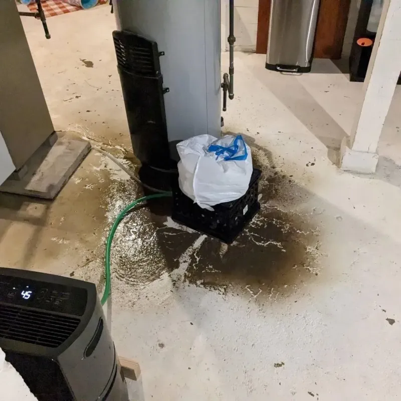 Sewage Backup Cleanup Service in Pittsville, MD
